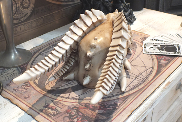 ドラゴンスカル スケルトンフィギュア Dragon Skull Skeleton Figurine 
