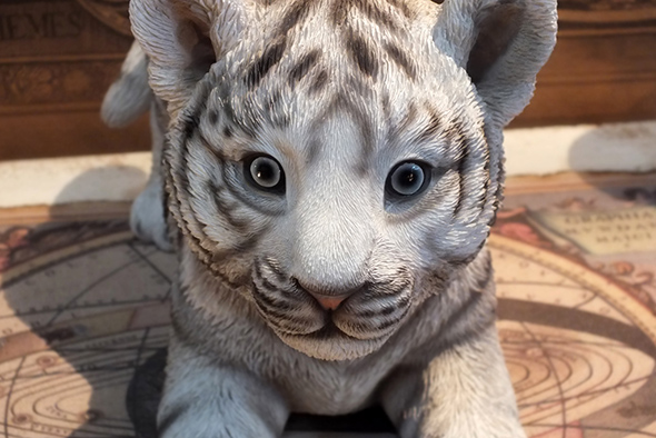 ホワイトタイガー・白虎の子供 スタチュー アニマルフィギュア White Tiger Cub Statue Animal Figurine