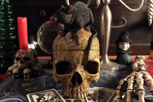 セーラム ウィッチ スカルヘッドボックス Salem Witch Skull Box with Mouse Pentagram