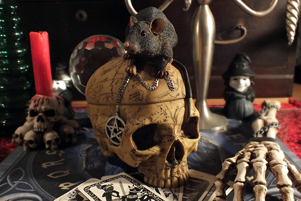セーラム ウィッチ スカルヘッドボックス Salem Witch Skull Box with Mouse Pentagram