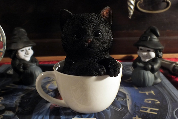 ティーカップinブラックキャット スタチュー 黒猫/子猫の置物 Teacup