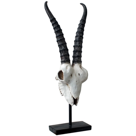 アンテロープスカルヘッド(羚羊の頭蓋骨)インテリア スタンド オブジェ