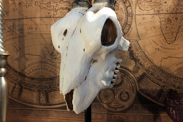 アンテロープスカルヘッド(羚羊の頭蓋骨)インテリア スタンド オブジェ PartⅡ Antelope Skull on Stand  PartⅡ