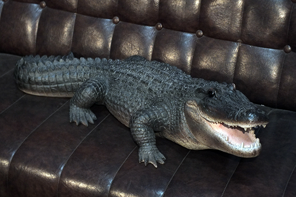 ラージアリゲーター(ワニ)フィギュア Wildlife Large Alligator Figurine 